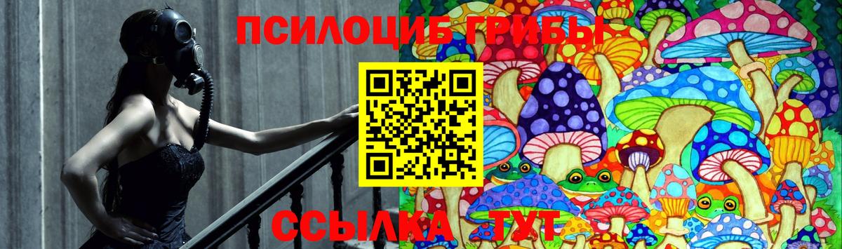 Галлюциногенные грибы Psilocybe Старая Купавна